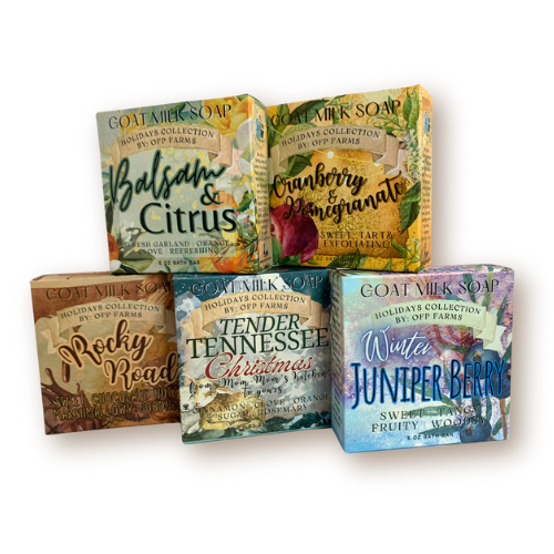 Goat Milk Soap - Holiday