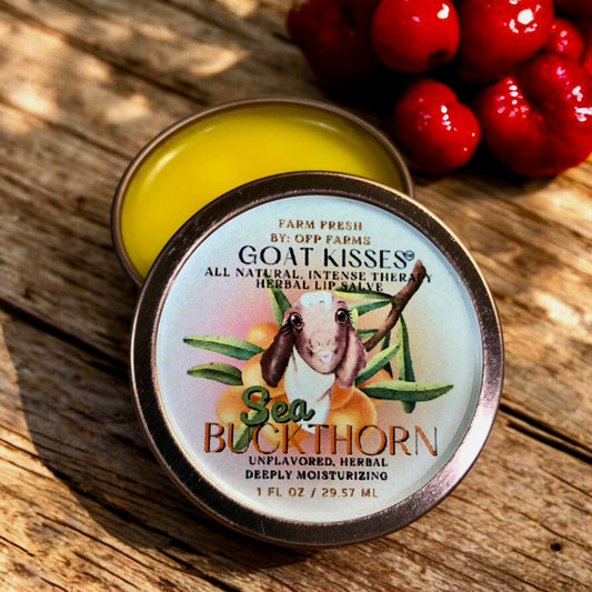 Sea Buckthorn, Lip Salve 1 oz (NEW)