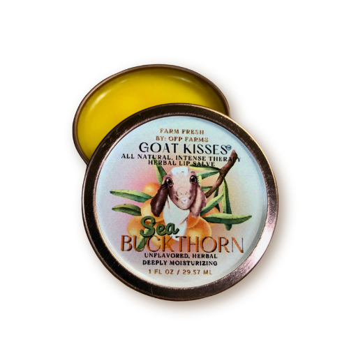 Sea Buckthorn, Lip Salve 1 oz (NEW)