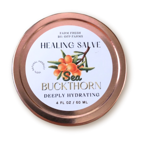 Sea Buckthorn Salve, 4 oz