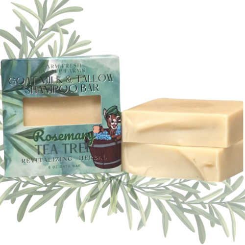 Shampoo Bar, 6 oz, Rosemary and Tea Tree